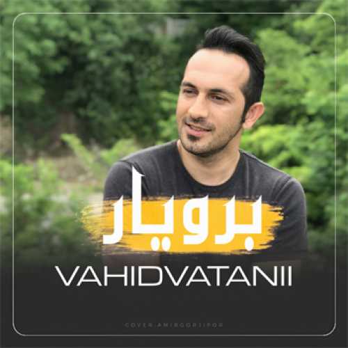 آهنگ مازندرانی برو یار با صدای وحید وطنی