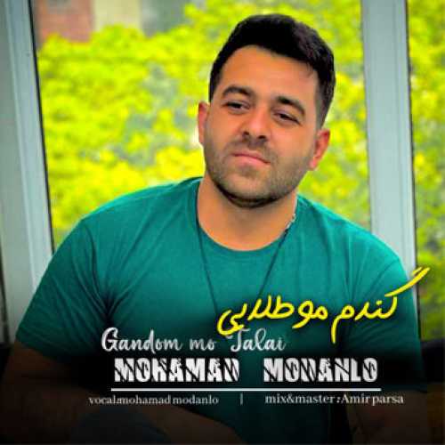 آهنگ مازندرانی گندم موطلایی با صدای محمد مدانلو