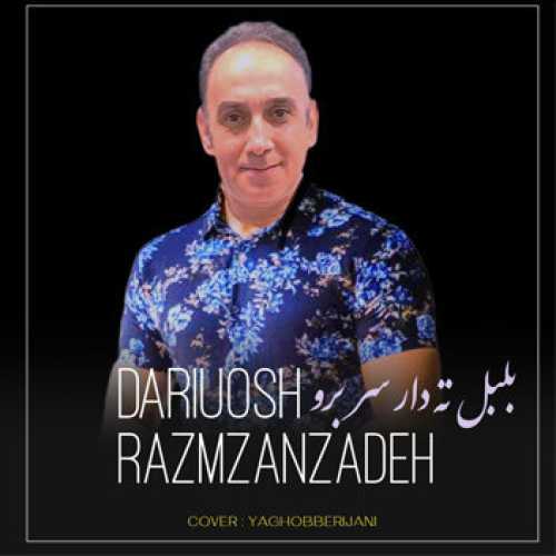 آهنگ مازندرانی بلبل تو دار سر برو با صدای داریوش رمضان زاده