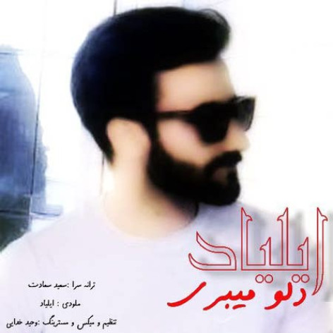 دانلود آهنگ ایلیاد دلو میبری همراه با متن