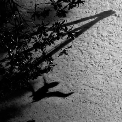 دانلود آهنگ on the nature of daylight همراه با متن