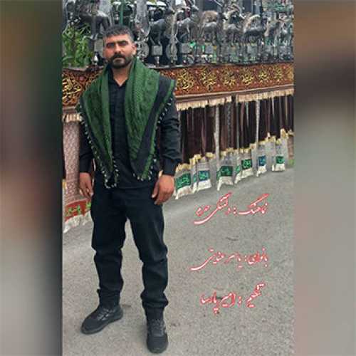 نماهنگ دلتنگی حرم با صدای یاسر عنایتی