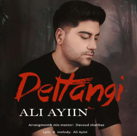 دانلود آهنگ علی آئین دلتنگی همراه با متن