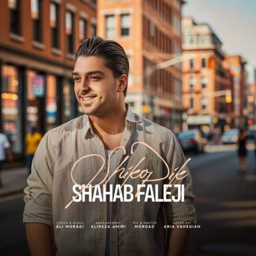 دانلود آهنگ شیک و پیک شهاب فالجی همراه با متن