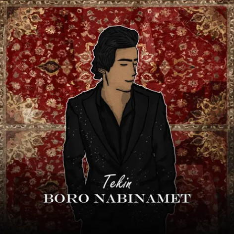 دانلود آهنگ تکین برو نبینمت همراه با متن