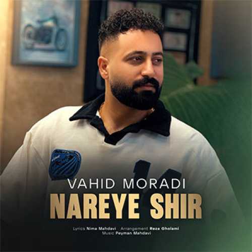 آهنگ مازندرانی نعره شیر با صدای وحید مرادی